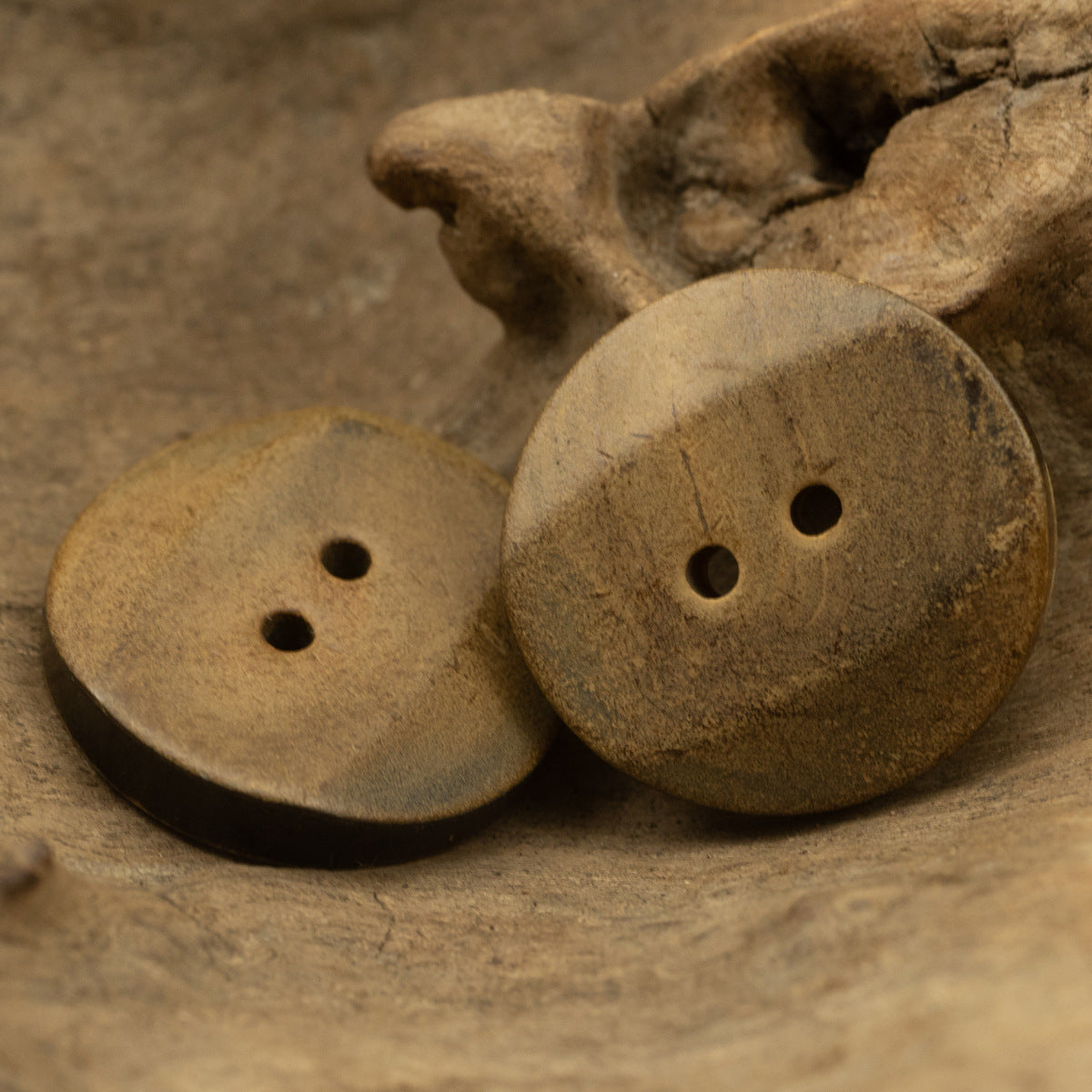 Vintage 2-hole burned horn buttons, light tan and darker tan, round with bevel.