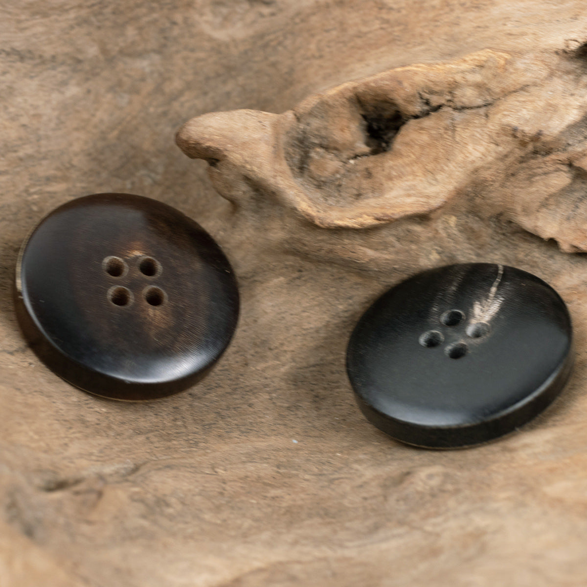Set of dark horn suit buttons with tan rims and four holes each
