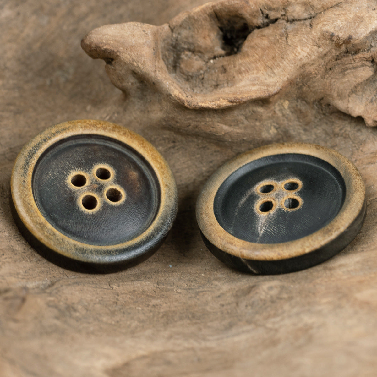Two dark horn buttons with tan edging and four-hole shanks
