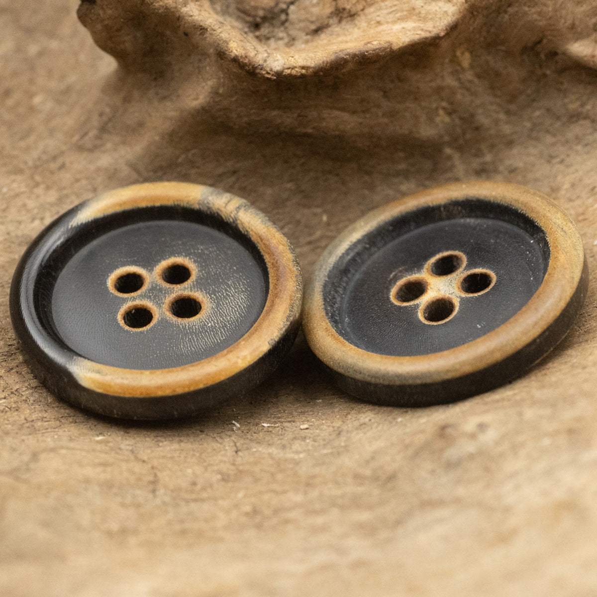 Two black horn buttons with 4-hole flower pattern and tan burnt border