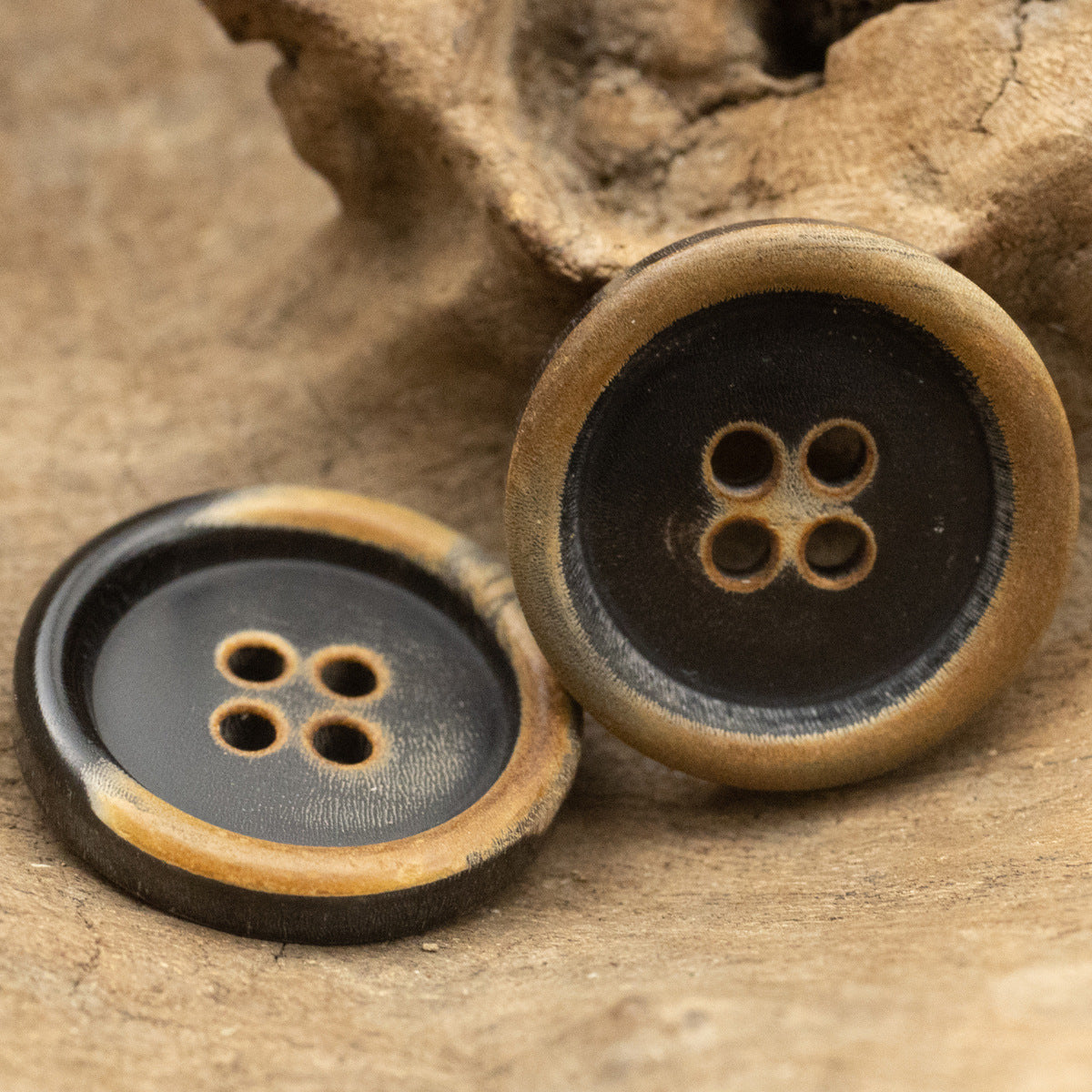 Pair of black horn buttons with four-hole layout, dark center and tan rim