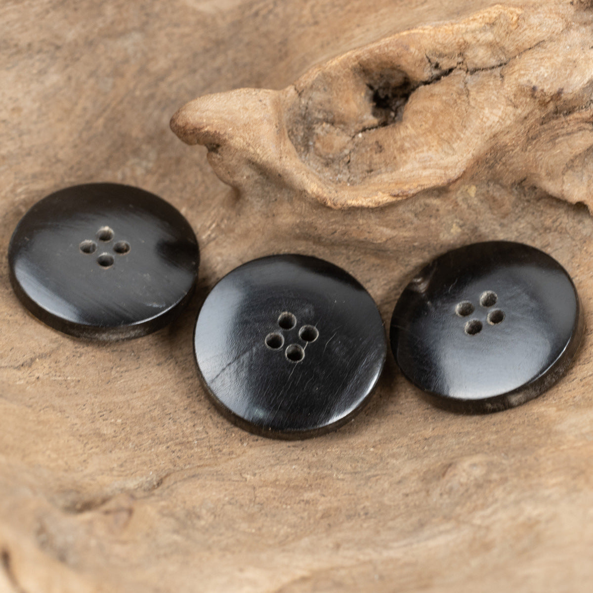 Three matte black four-hole clothing buttons with brown rim and buttonholes