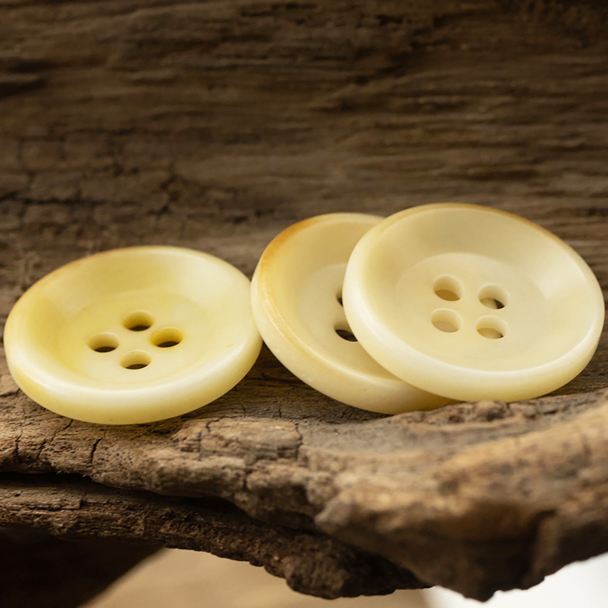Light yellow button set, side views with sewing holes on 18mm fruit buttons