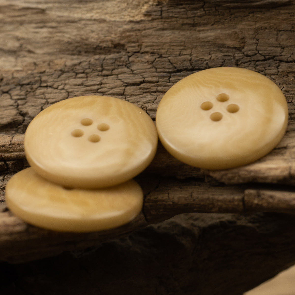 Three light yellow 4-hole buttons on wood, round smooth faces