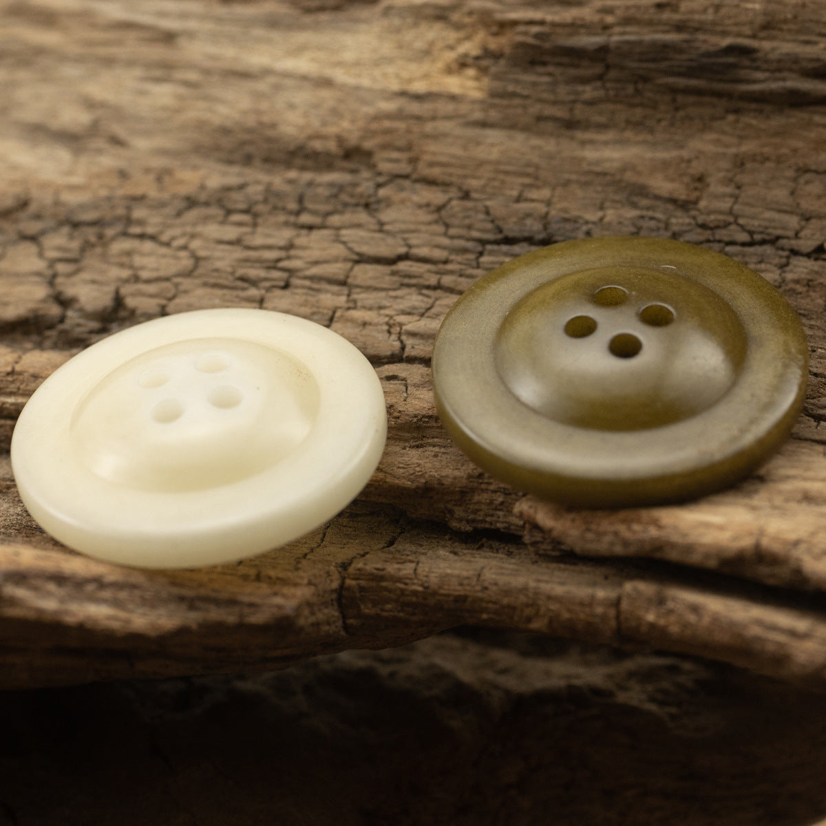 White and green natural buttons with four holes, flat front