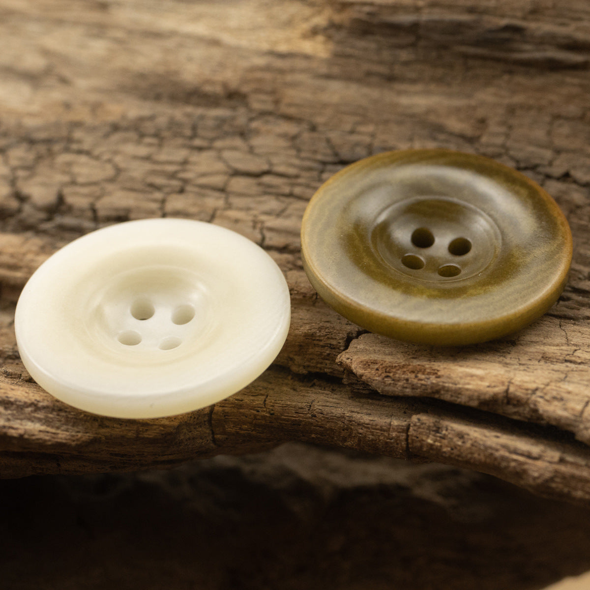 Pair of natural fruit buttons: white and green, four-hole front