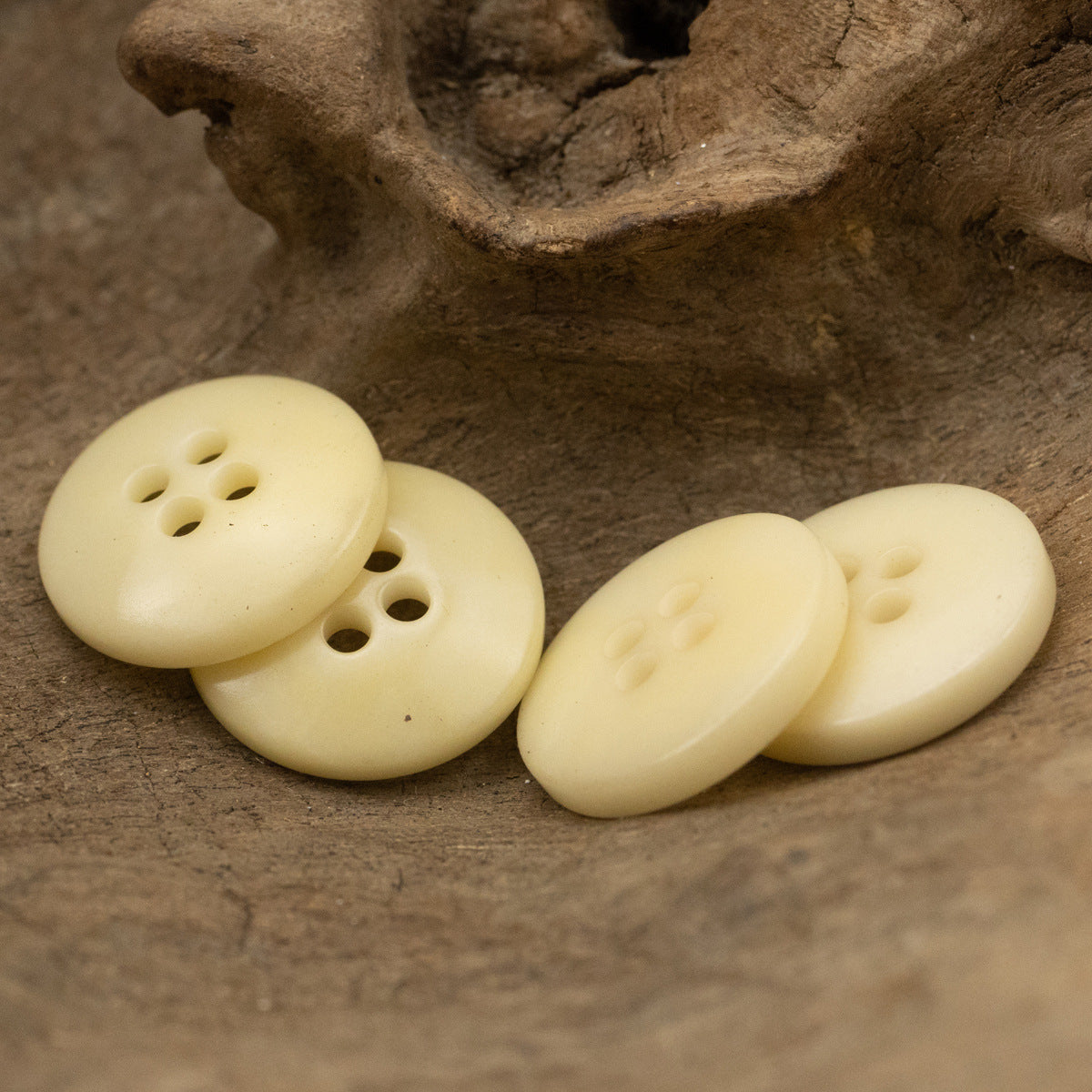 Light beige four-hole buttons (10 pcs) grouped together, side angles