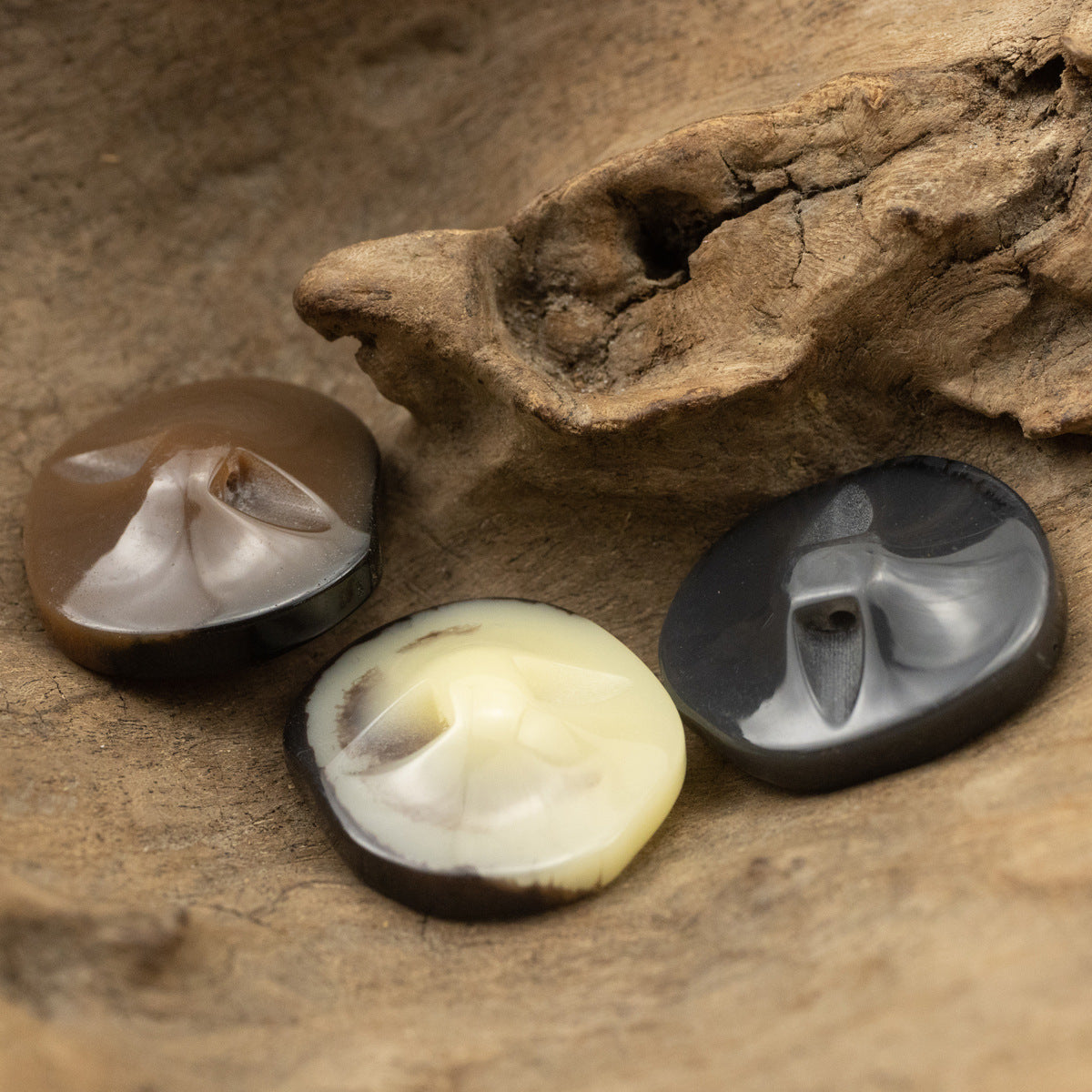 Fan-shaped resin shank buttons in brown, yellow and black, feather-textured front