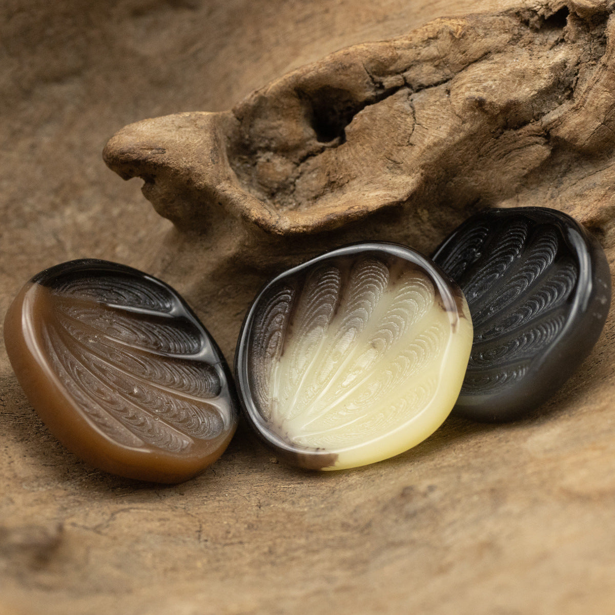 Three resin shank buttons with feather texture: black, yellow-cream and brown