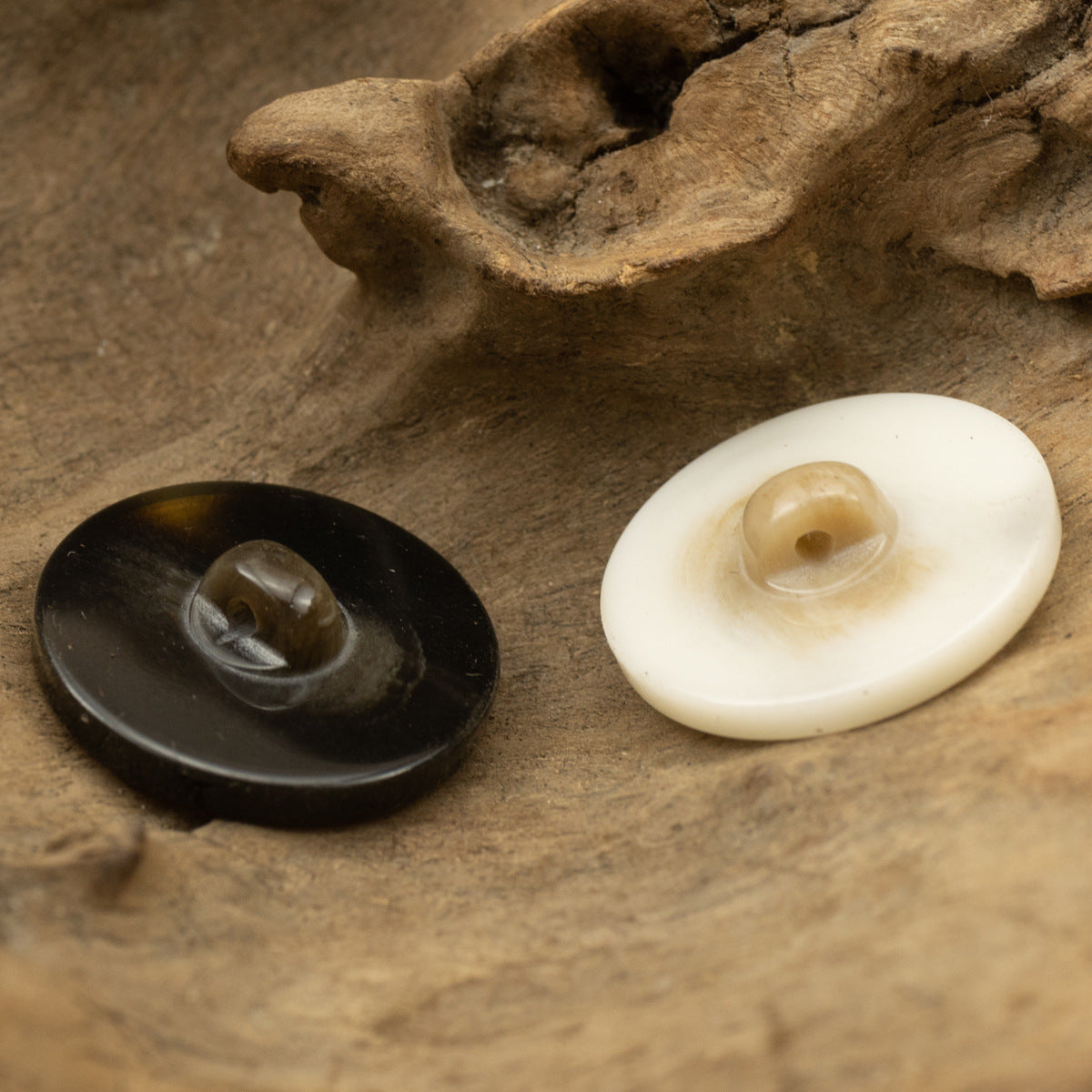 Two resin shank buttons, one light and one dark, showing the back shank