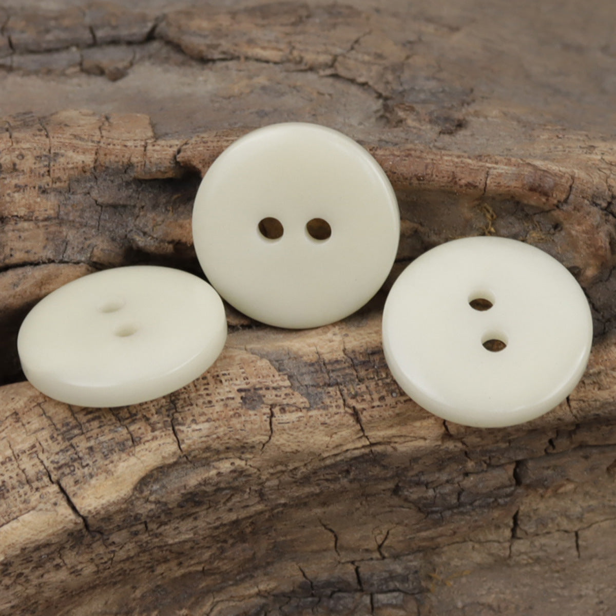 Three beige 2-hole natural buttons on wood