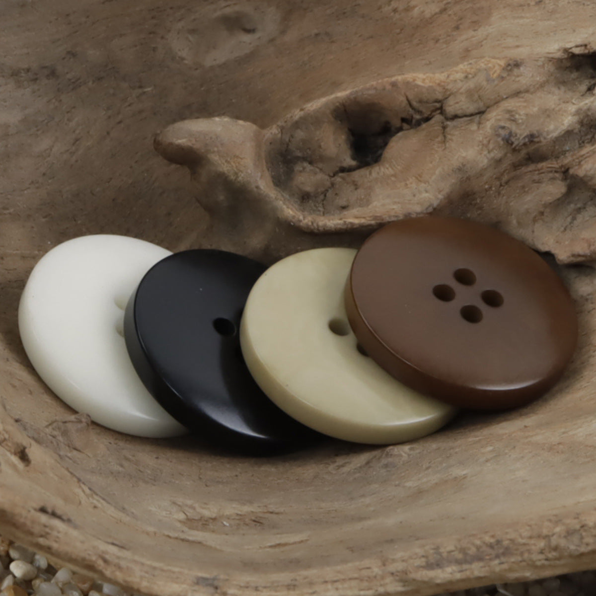 Wide border palm nut buttons, round four-hole fronts in white, black, tan, and brown