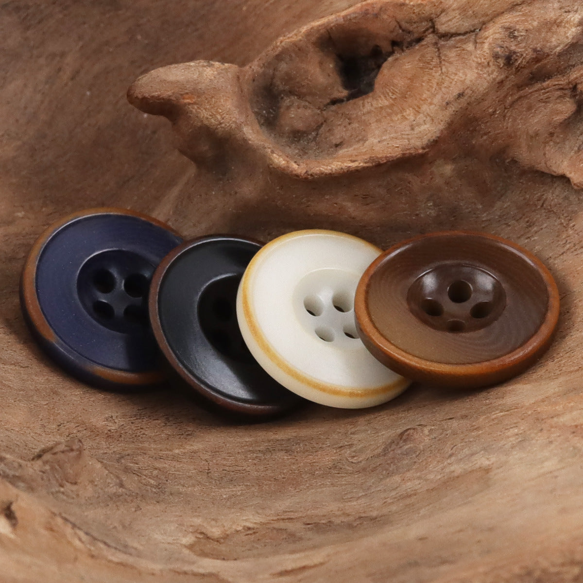 Four round nut buttons: navy, dark blue, white, and brown, each with 4-hole face