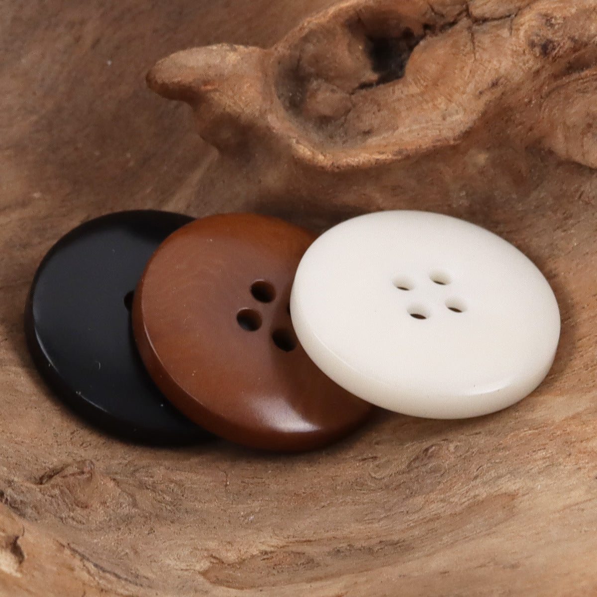 Bowl-shaped nut buttons with 4 holes: white, brown, black (pair close-up)