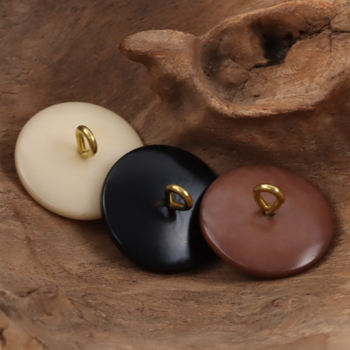 Natural tagut nut buttons in beige, dark brown, and black with golden shanks, 1-hole