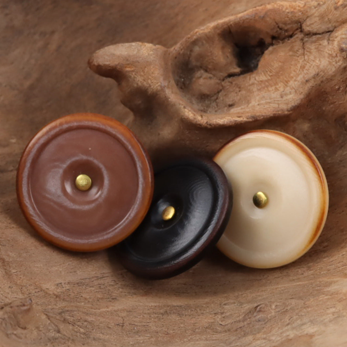 Tagut nut buttons set: dark brown, black, and beige, golden shanks, single-hole