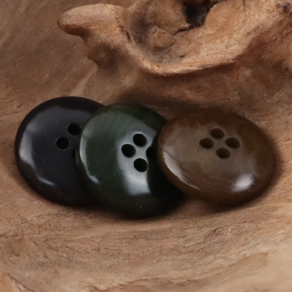 Natural Tagut buttons with 4 holes: dark green, black, and deep coffee (close-up)