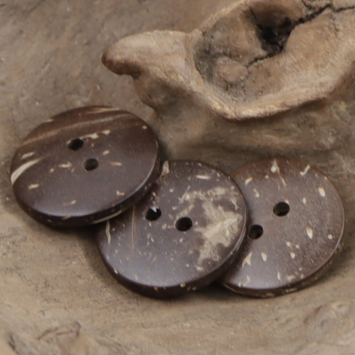 Two round 4-hole black coffee coconut shell buttons on a light wood surface