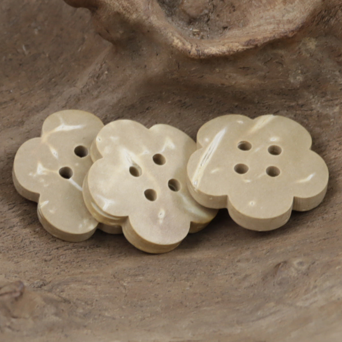 Beige floral coconut shell buttons, grouped with visible 4-hole openings