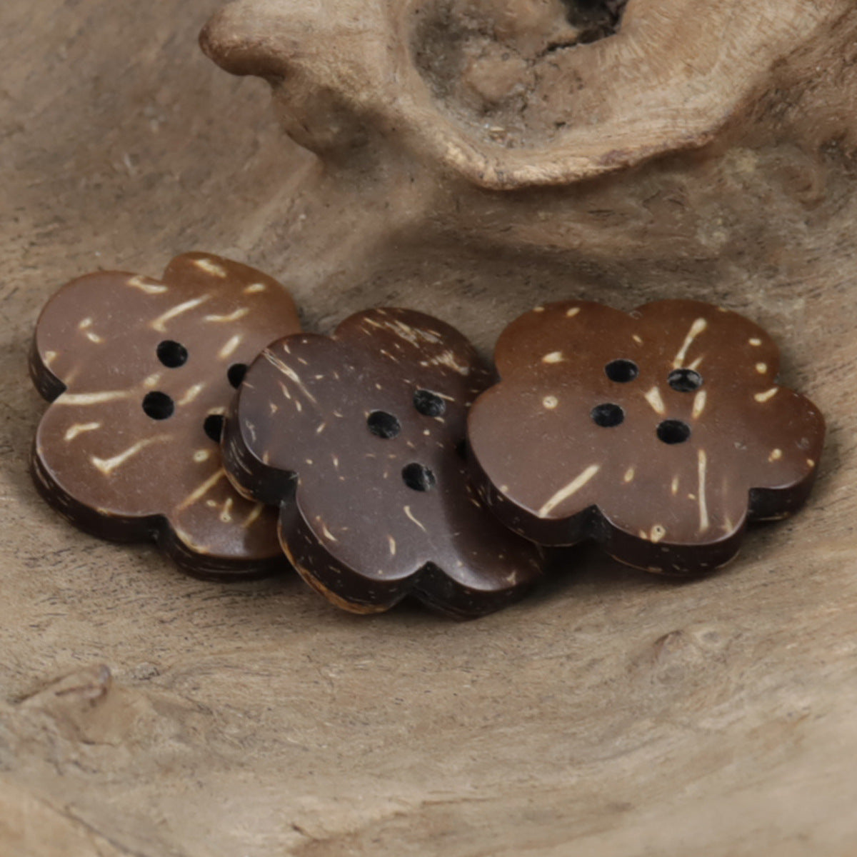 Flat coconut flower buttons in dark brown, four holes each with white speckle details