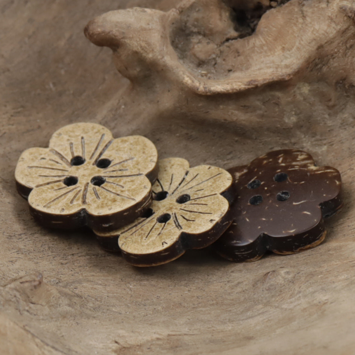 Set of flat coconut flower buttons in light tan and dark brown, multiple four-hole designs