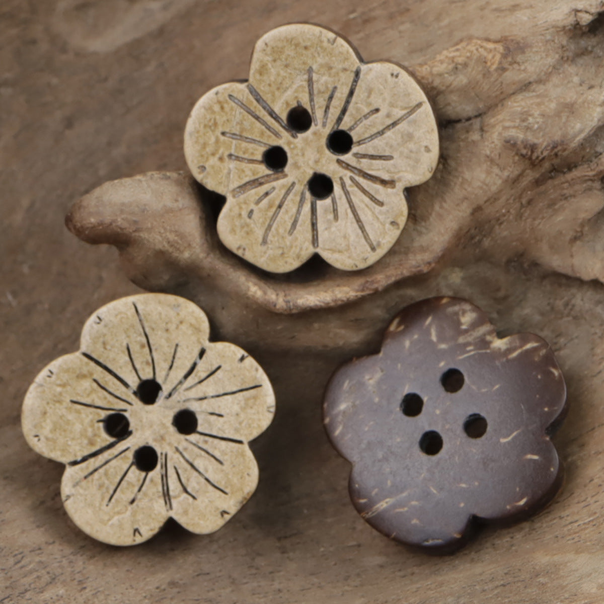 Children coconut flower buttons: light tan and one dark brown, each with four holes