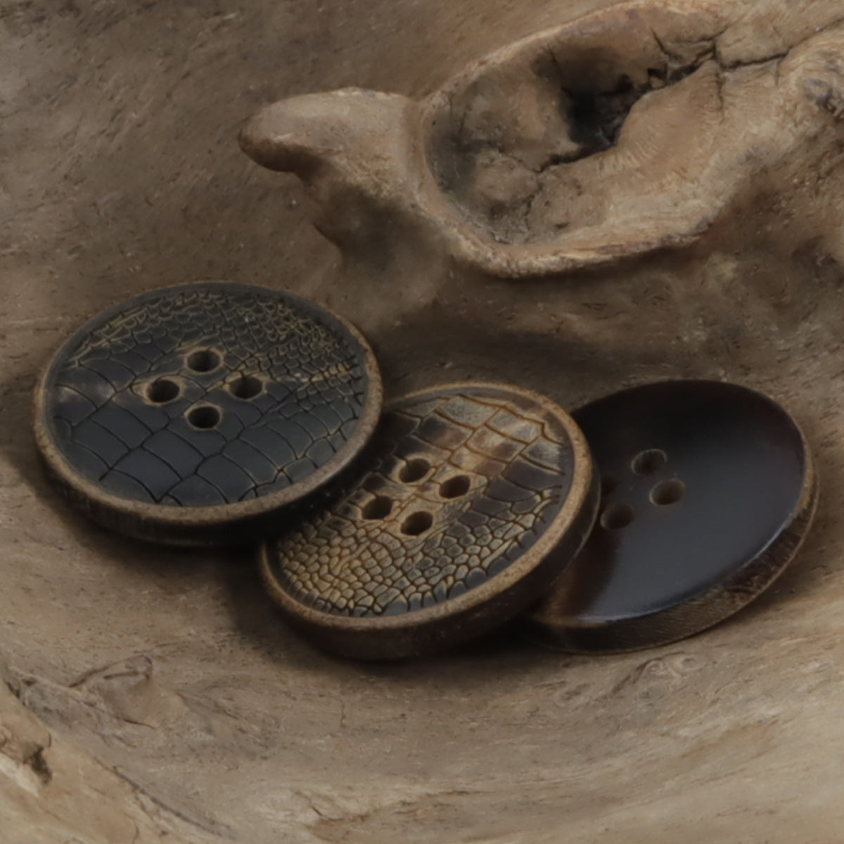 Coffee horn buttons with burnt snake-skin pattern, multiple holes
