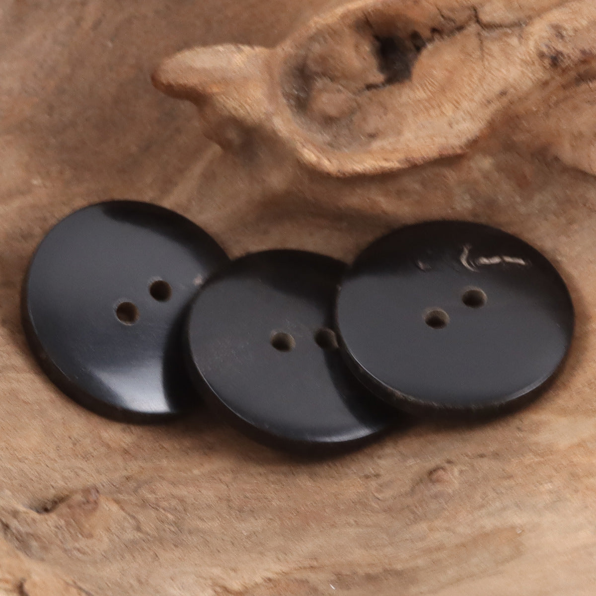 Black matte horn buttons, round, 3-hole fronts