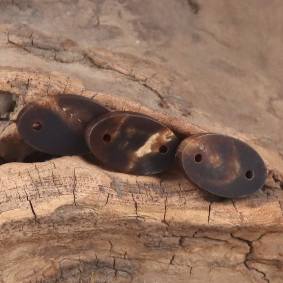 Long oval ox horn buttons with two holes, dark brown; side-by-side