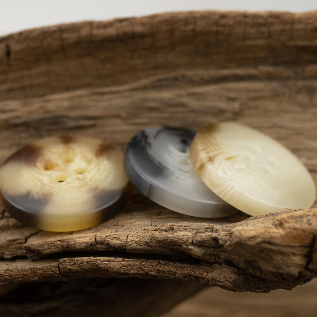 Set of coat buttons: beige, dark gray, and cream tones with four holes each