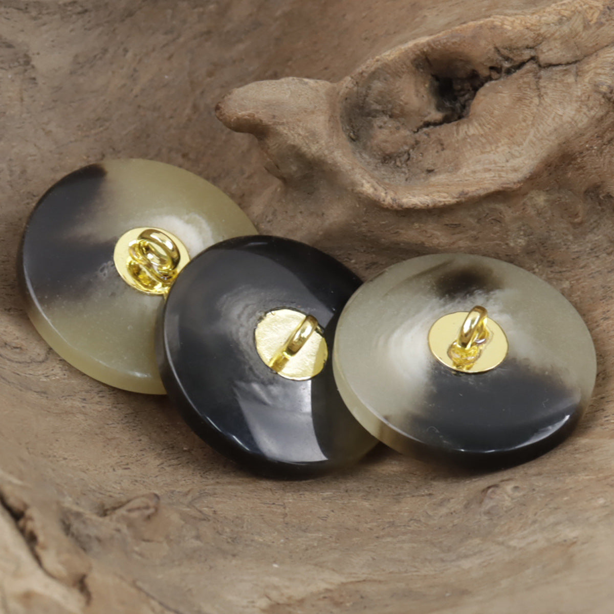 Resin coat buttons, beige and black tornado texture, gold shank detail, 3 pcs
