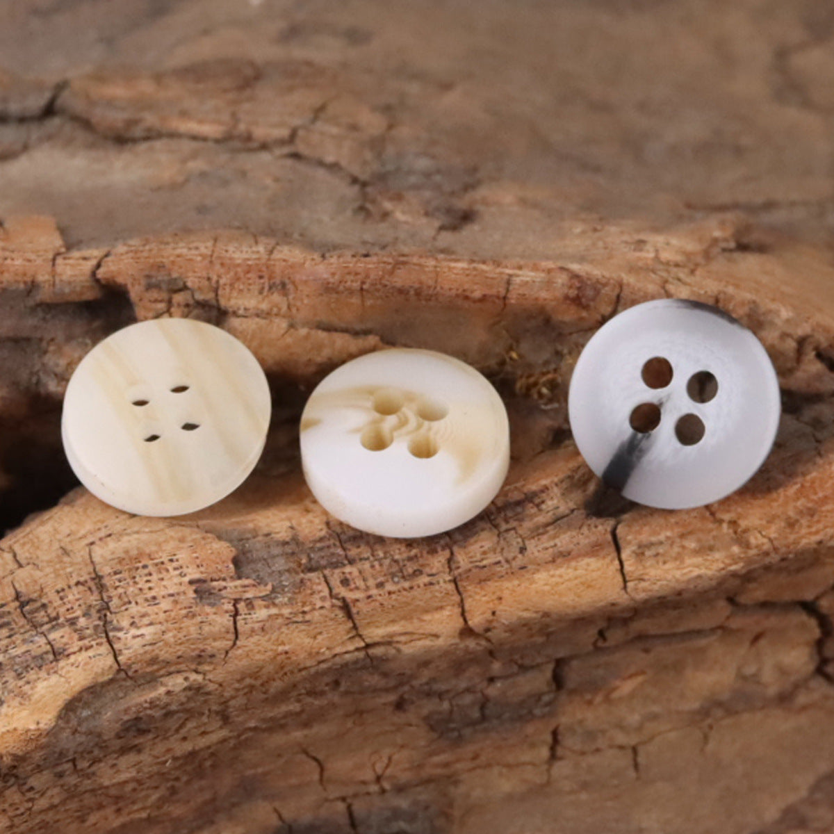 4-hole resin buttons, front and back views, cream/ivory tones