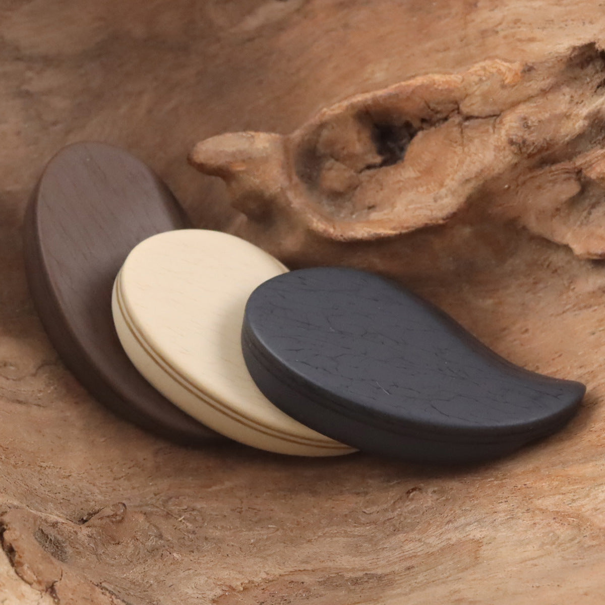 Beige and black comma-shaped matte resin shank buttons with front slit holes