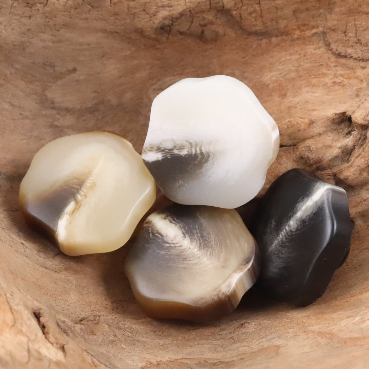 30mm oversized resin shank buttons, ivory and dark brown marbled with screw-back holes
