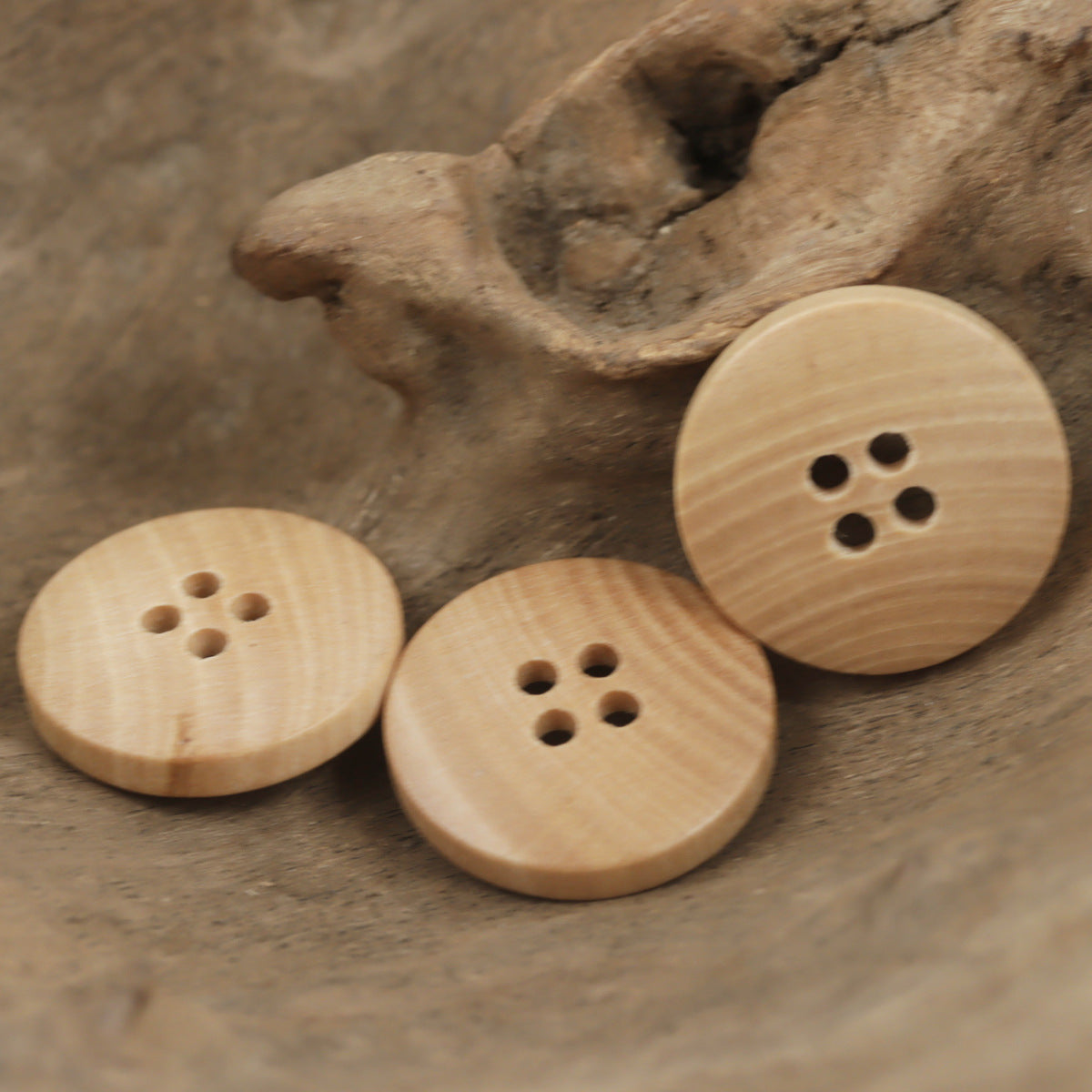 Set of four-hole light wood buttons and a larger button with four black holes