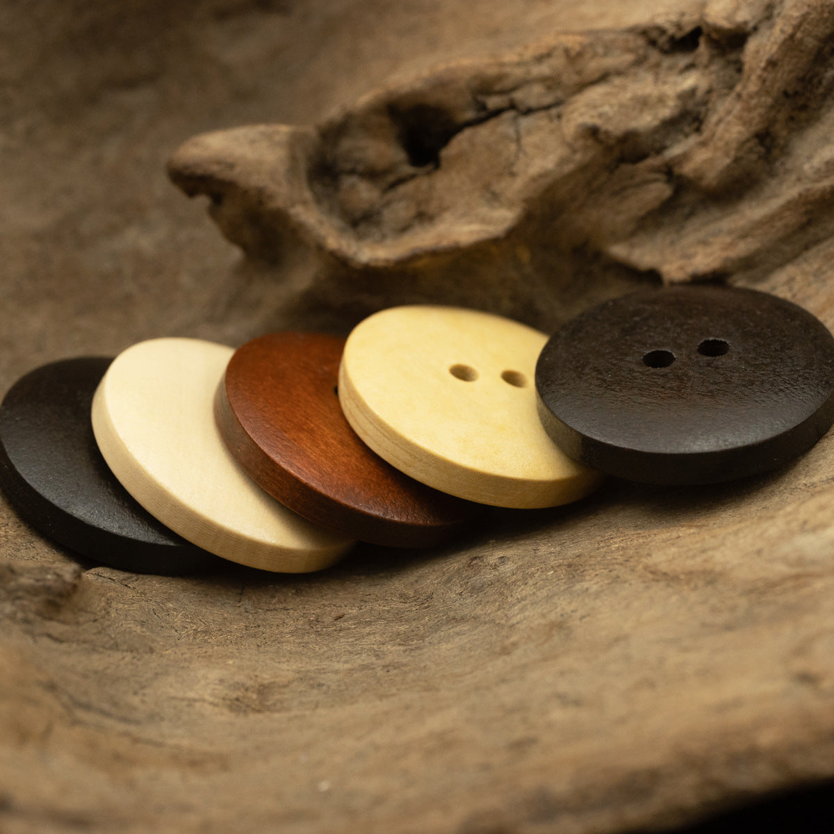Two-hole dotted wood buttons, bowl-shaped, five colors shown on a surface