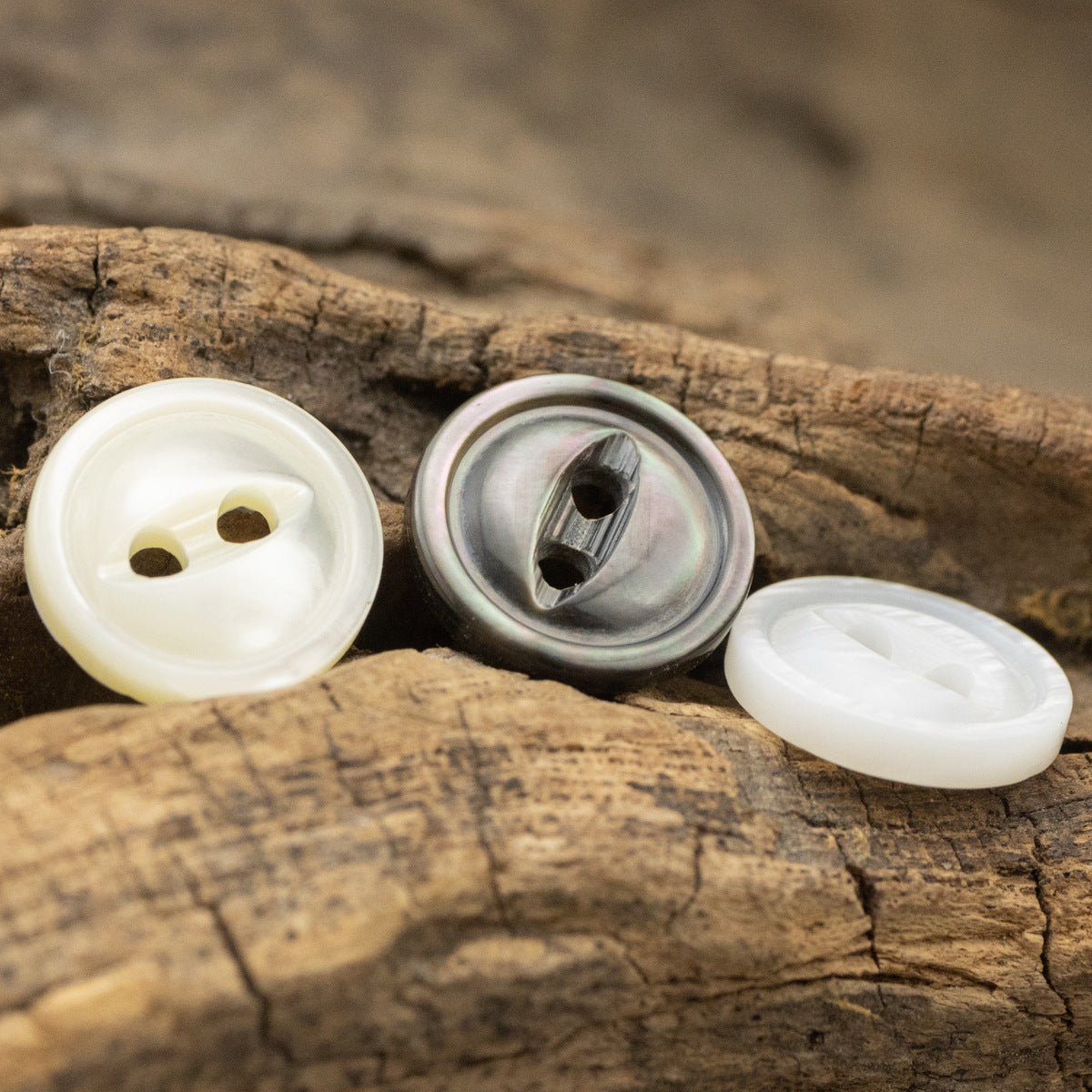 Pearl shell buttons in white and dark gray, 2-hole fish-eye design with back view