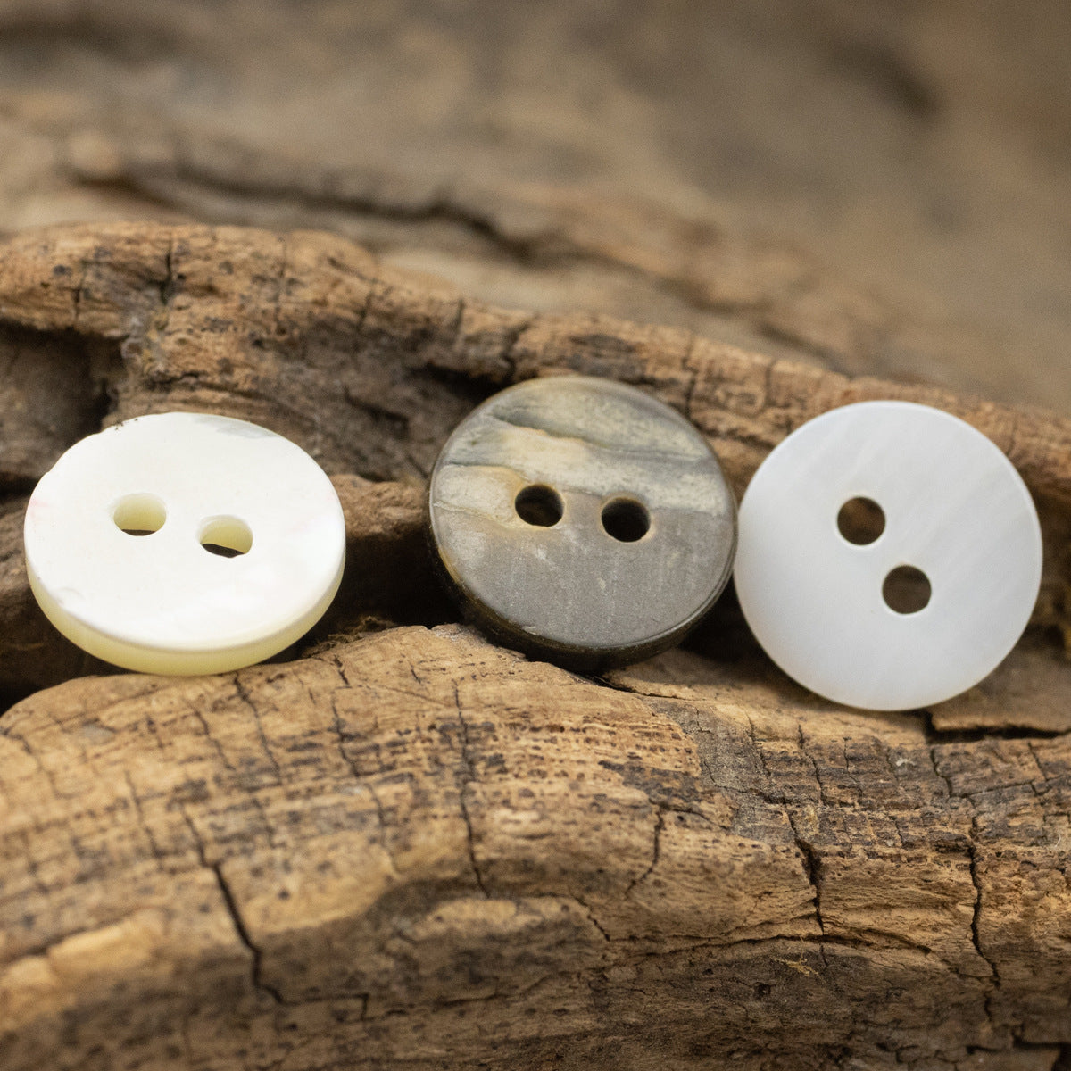 Shirt pearl shell buttons, white and dark gray, 2-hole fish-eye design