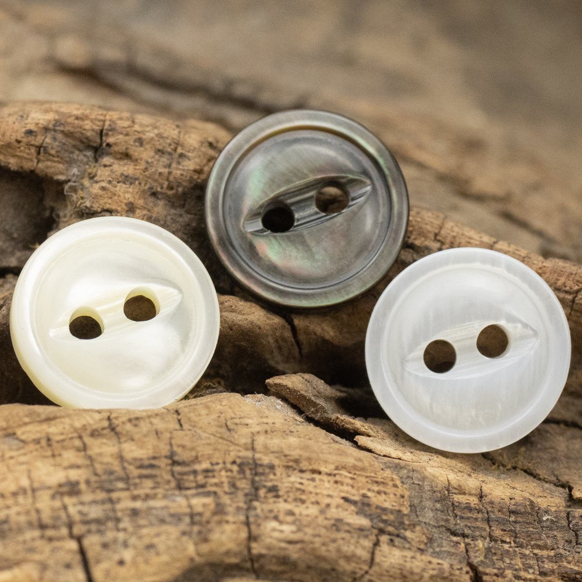 Pearl shell fish-eye buttons, white and dark gray; metal shank/back visible