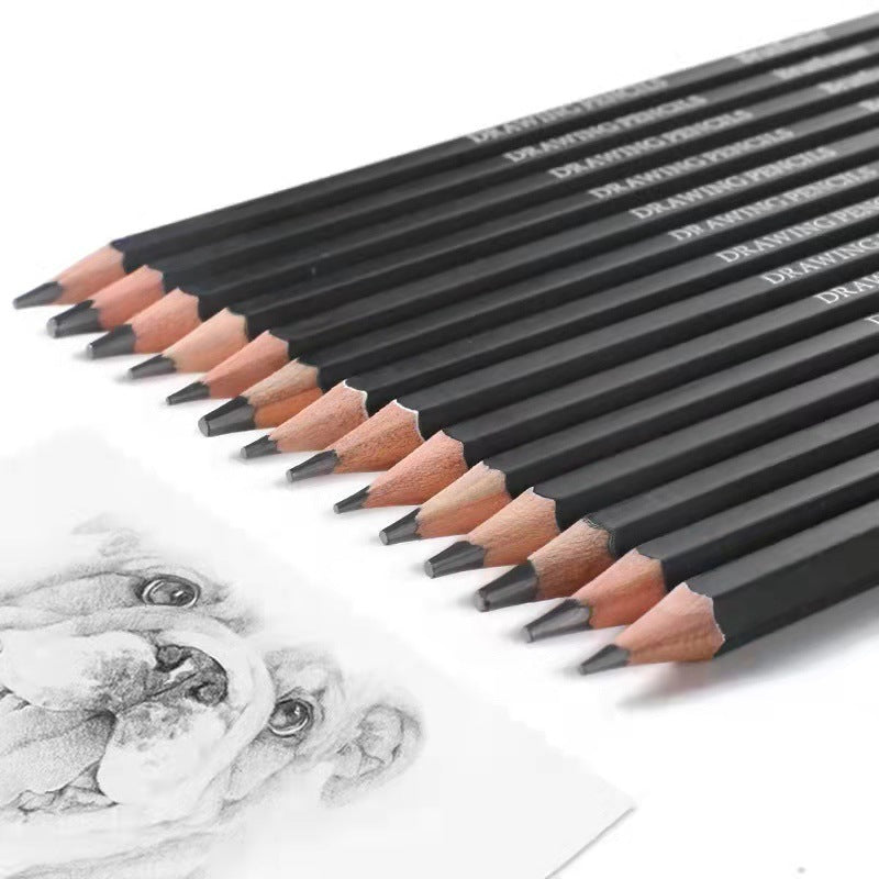 BRUTFUNER 14 Pieces Professional Drawing Sketching Pencils Set