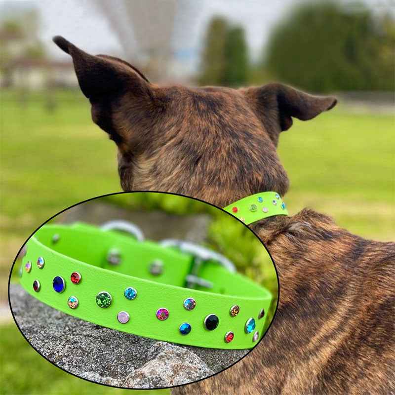 Strass-Nieten auf grünem Hundehalsband, silberfarbene Scharnierrückseiten mit funkelnden Steinen