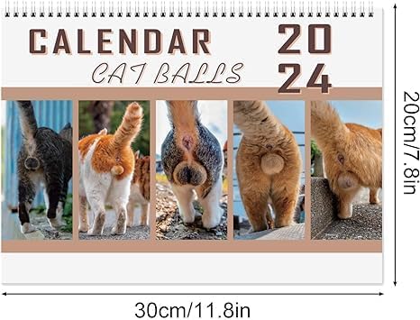 Cat Balls Calendar 2024