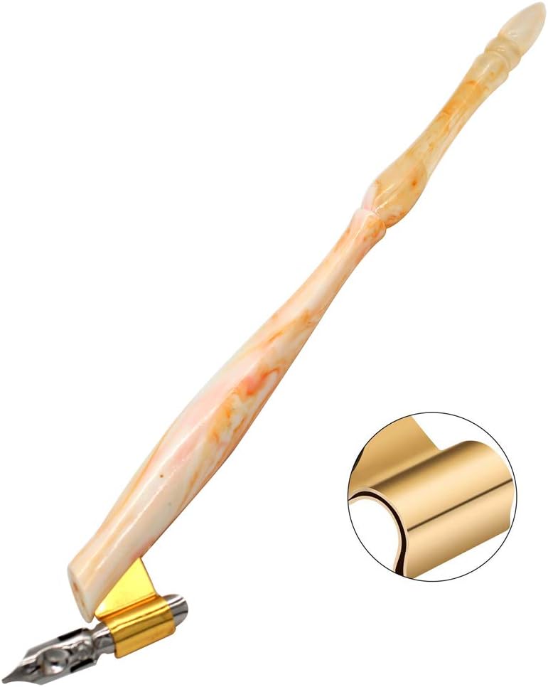 Oblique Calligraphy Nib Pen Point Holder Dip Pen 5 Flat Nibs