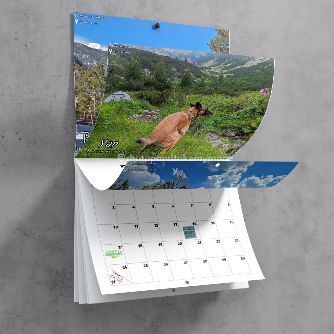 Dogs Pooping In Beautiful Places 2024 Calendar